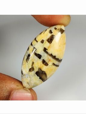 25.80 Ct Natural Dalmatian Jasper Marquise Cab